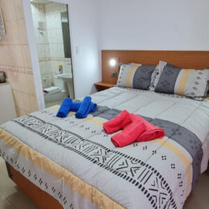 Mini departamento  amoblado de 1 habitación y 1 baño